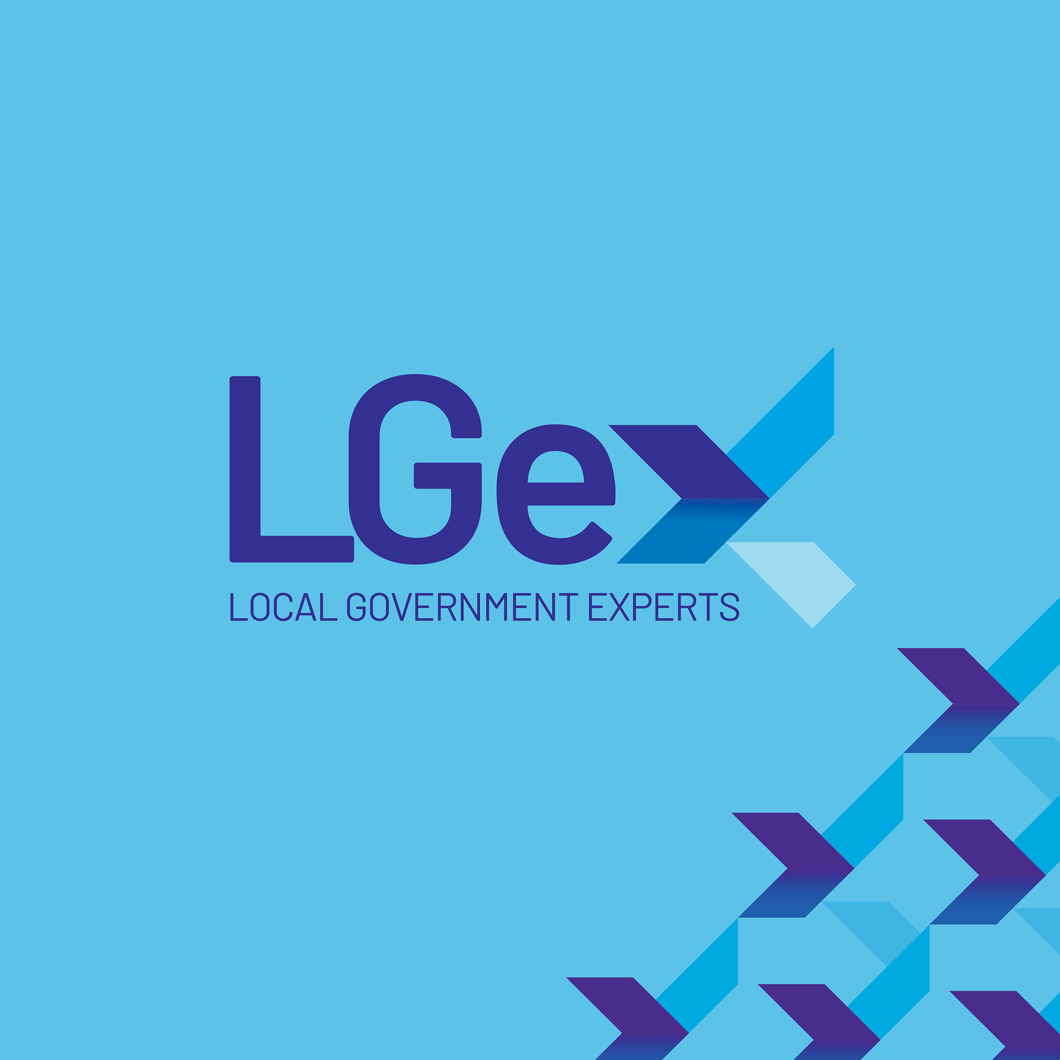 Local Government Experts Logo in the centre of a light blue box. On the bottom right is the iconography from the logo, spread out as a small diagonal pattern.