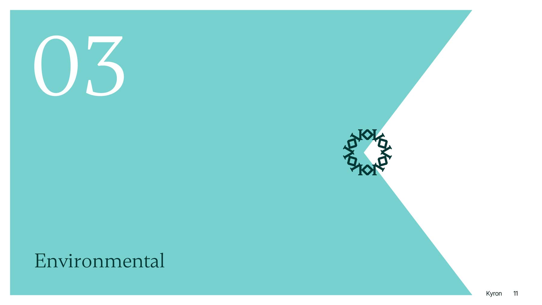 Divider page for Annual Sustainability Report