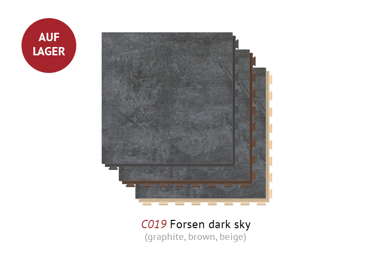 C019 Forsen dark sky