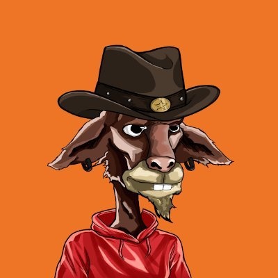 kitakripto