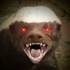 Bitcoin Honey Badger