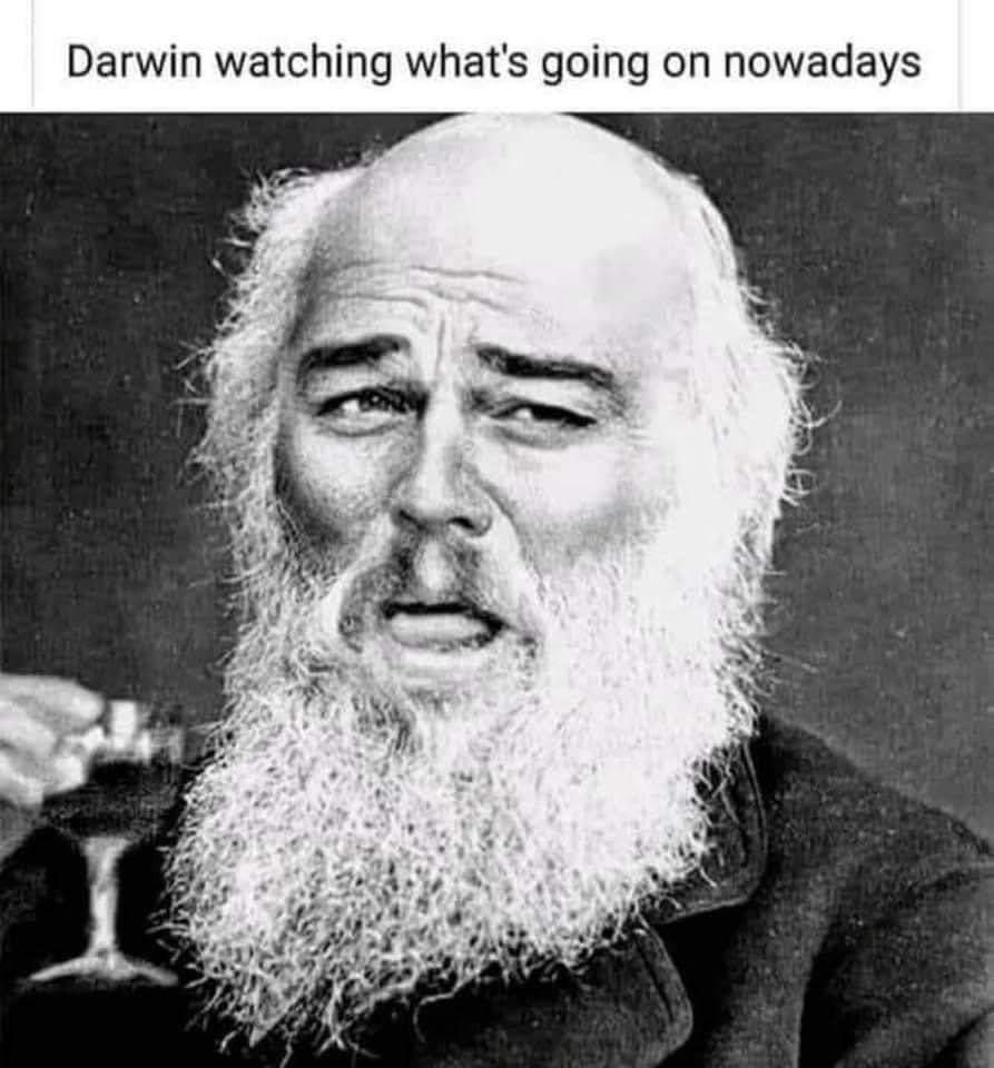 Essemcee