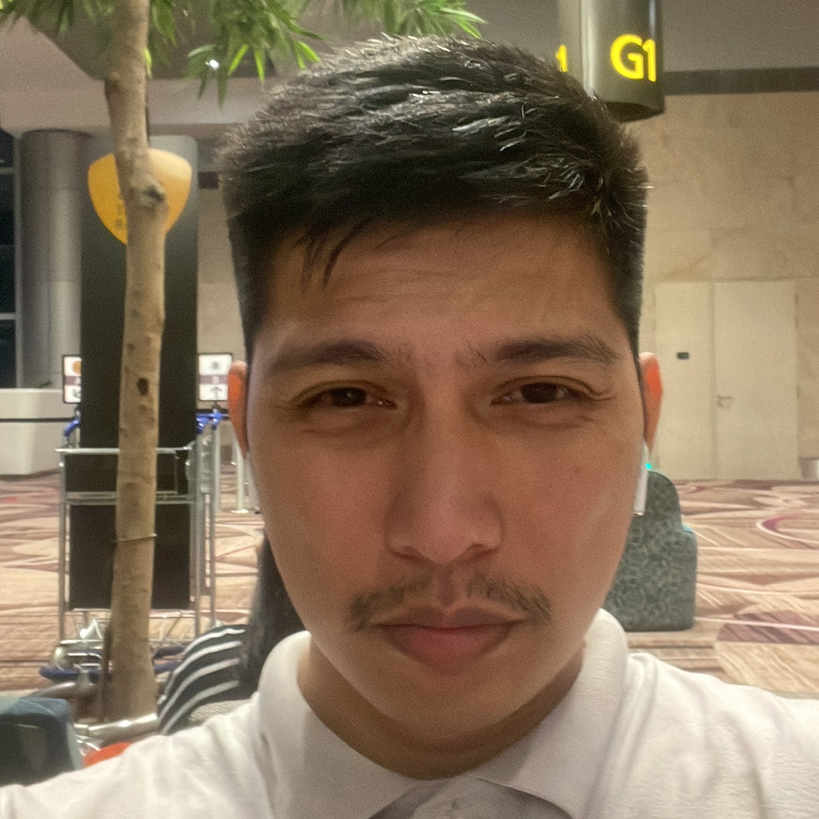 iandensan