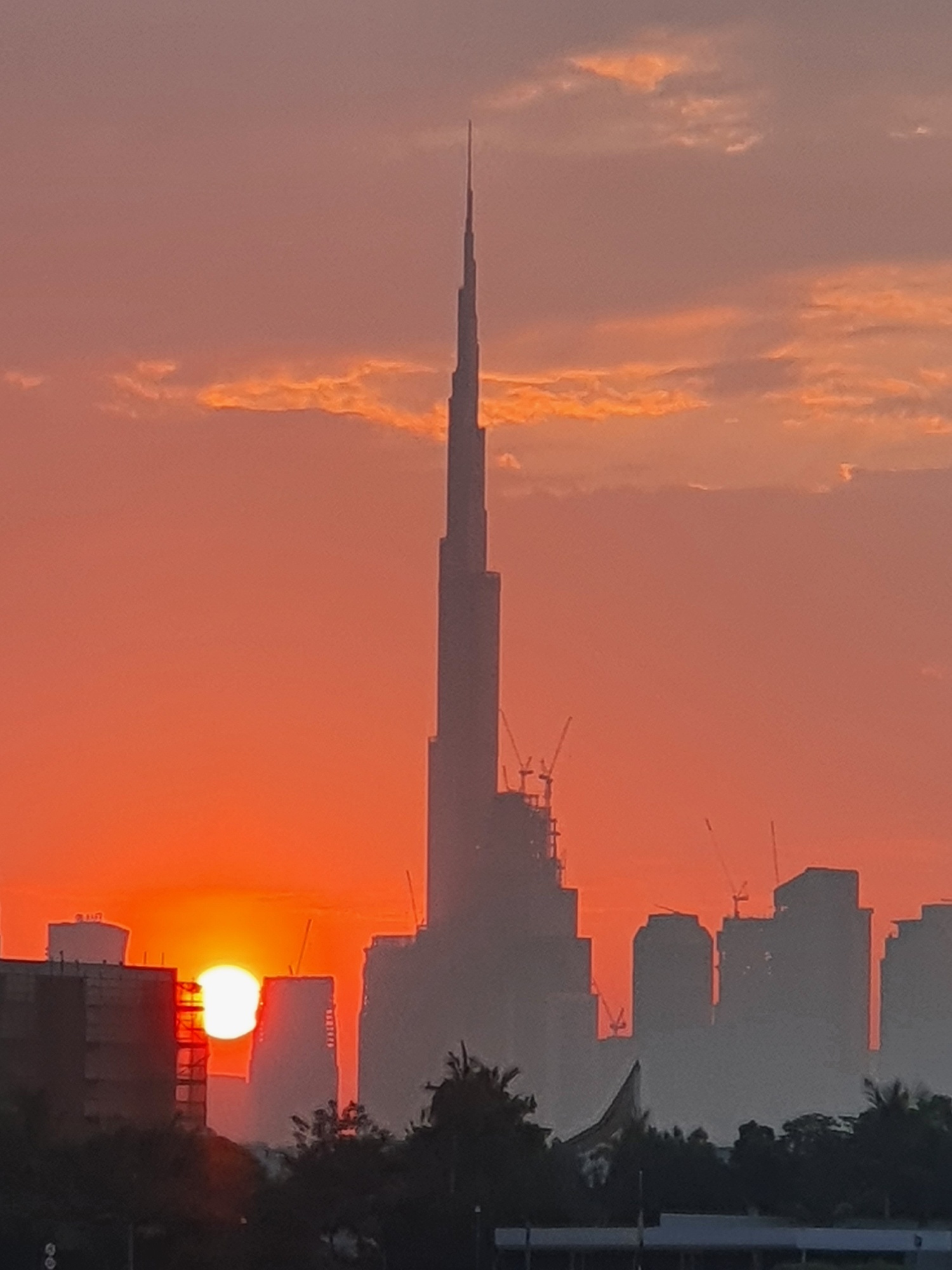DXBcryptard