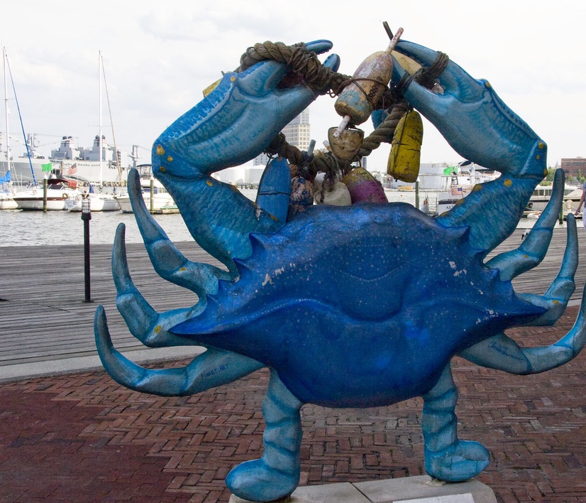 Bluecrab
