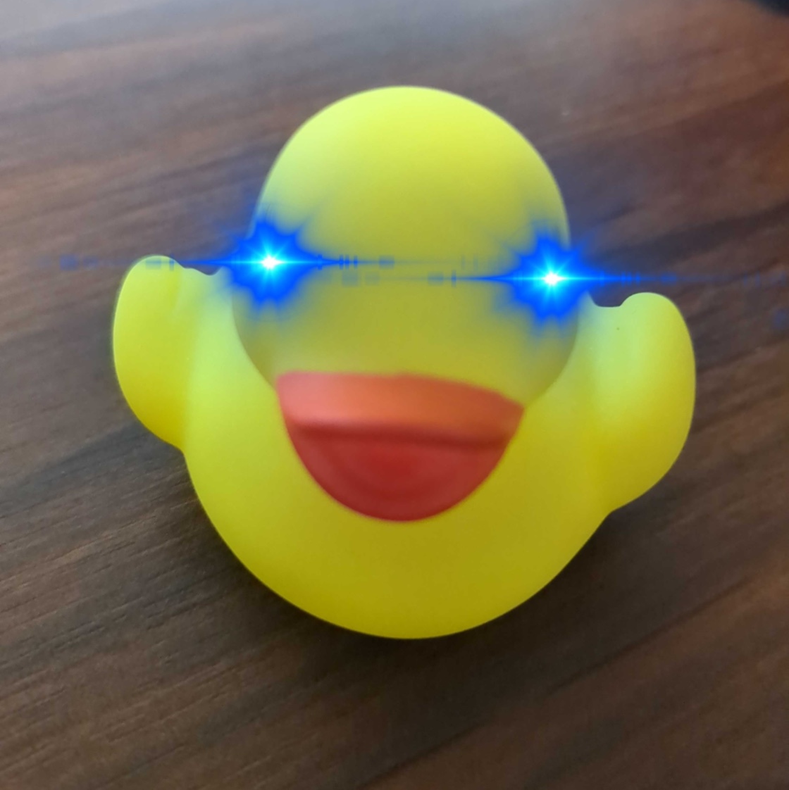 cdavidm