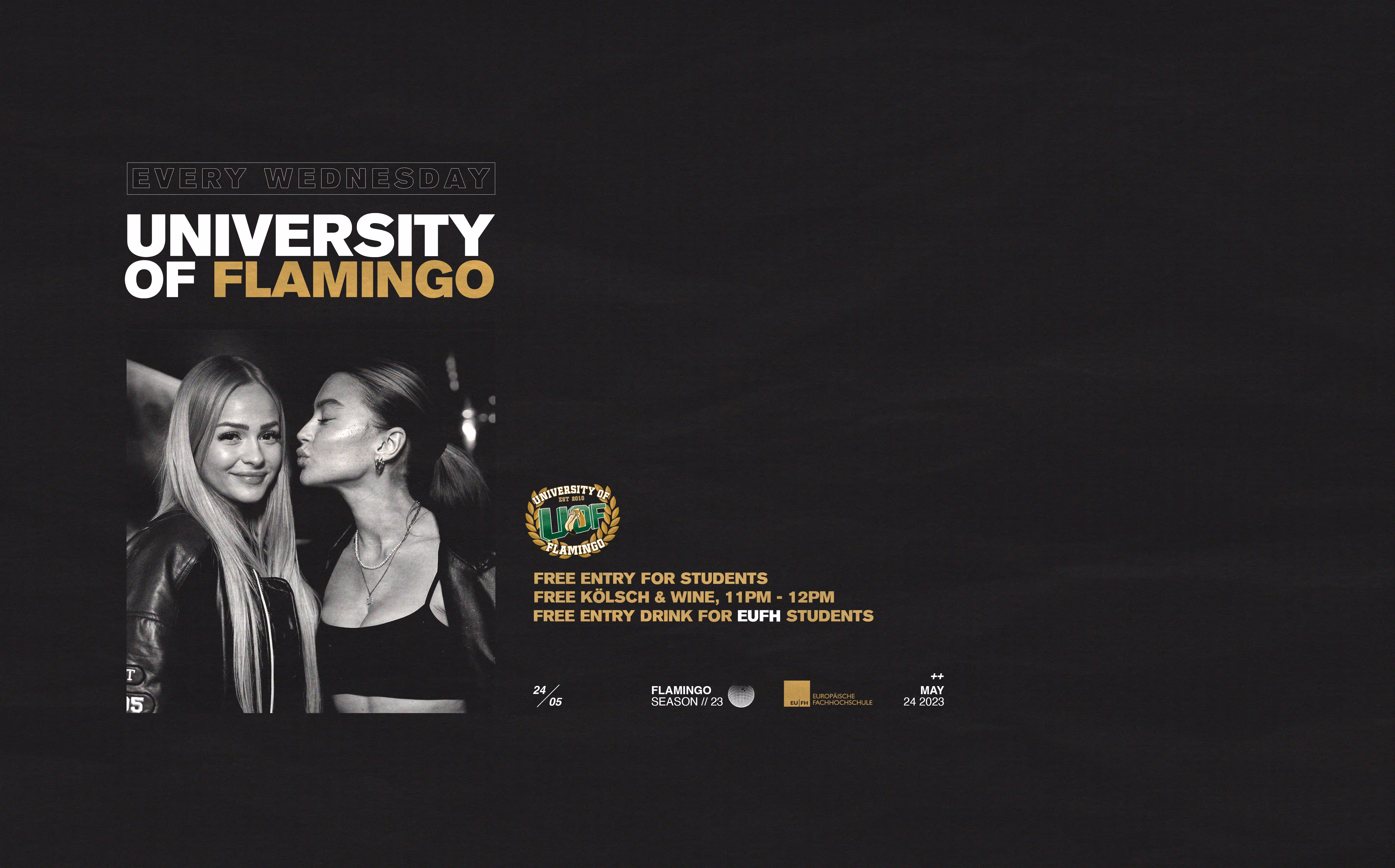 University Of Flamingo