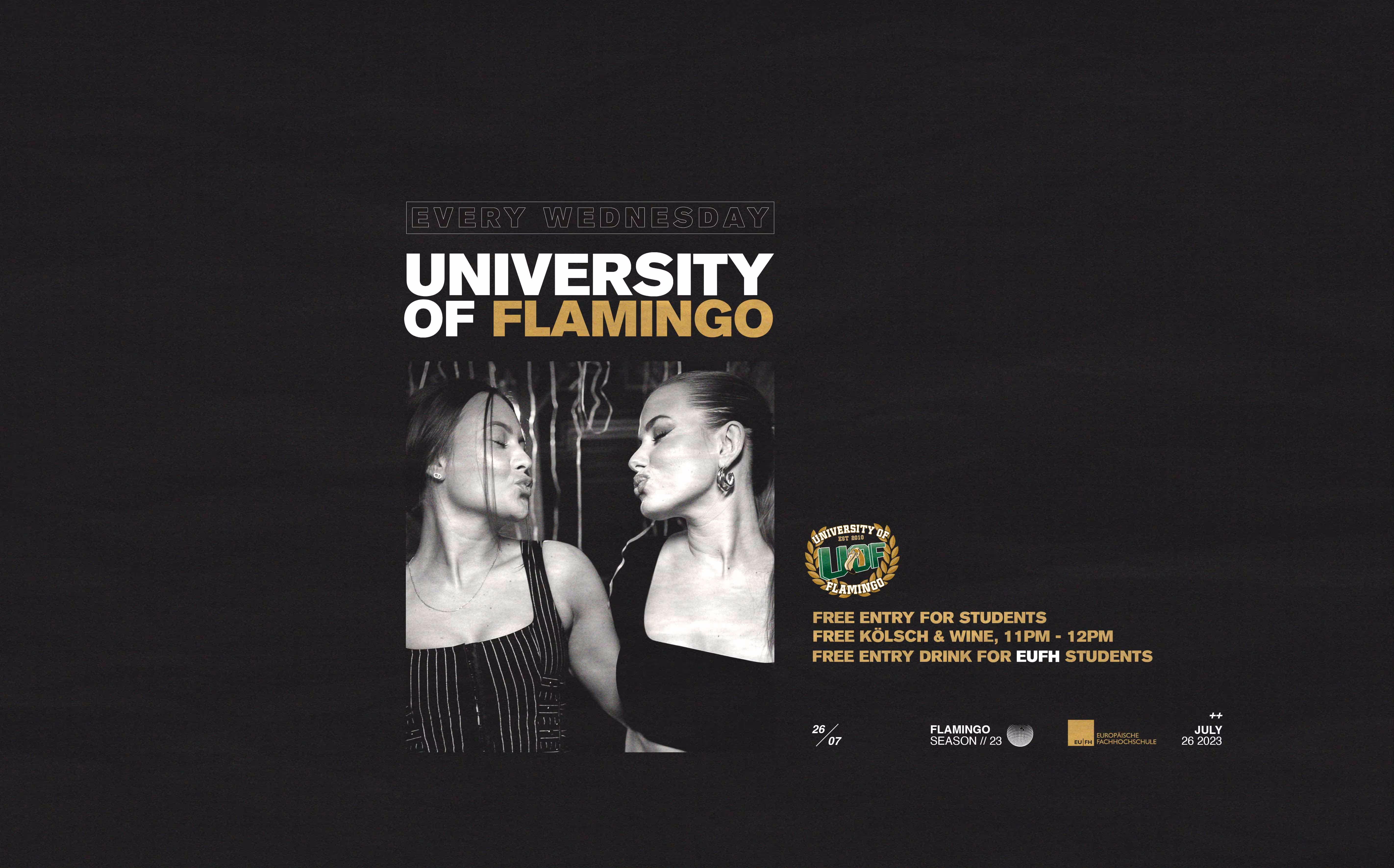 University Of Flamingo