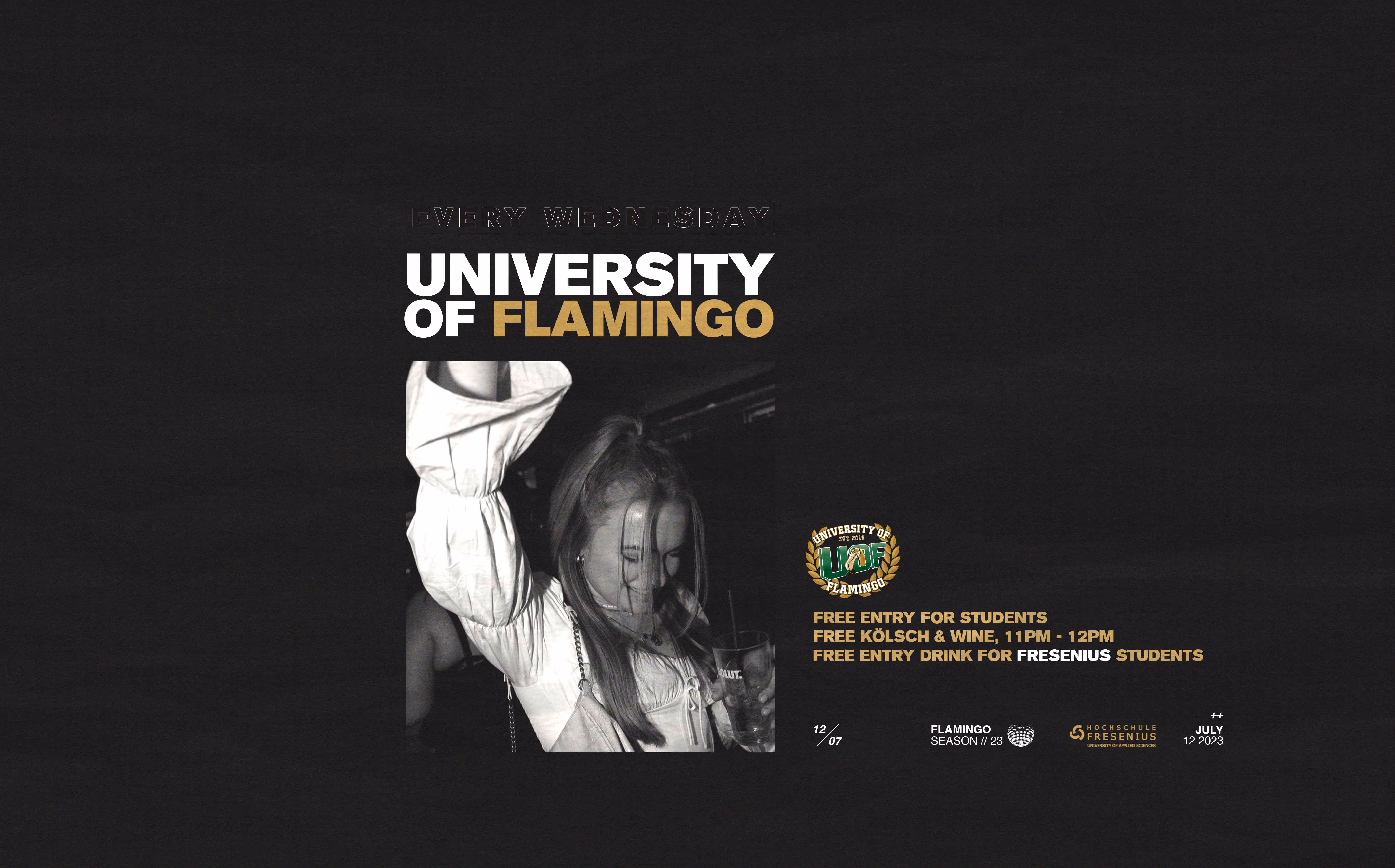 University Of Flamingo