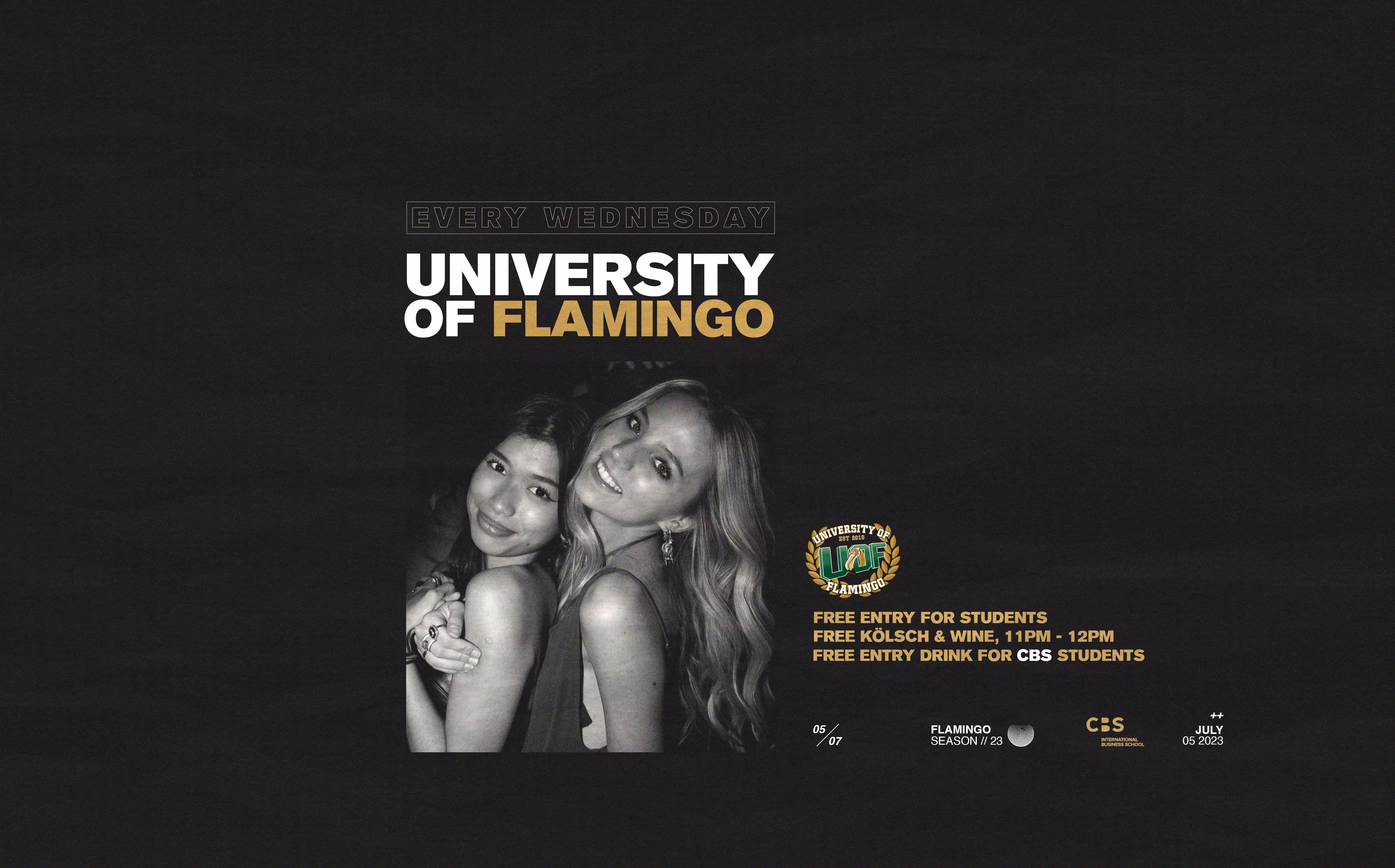 University Of Flamingo