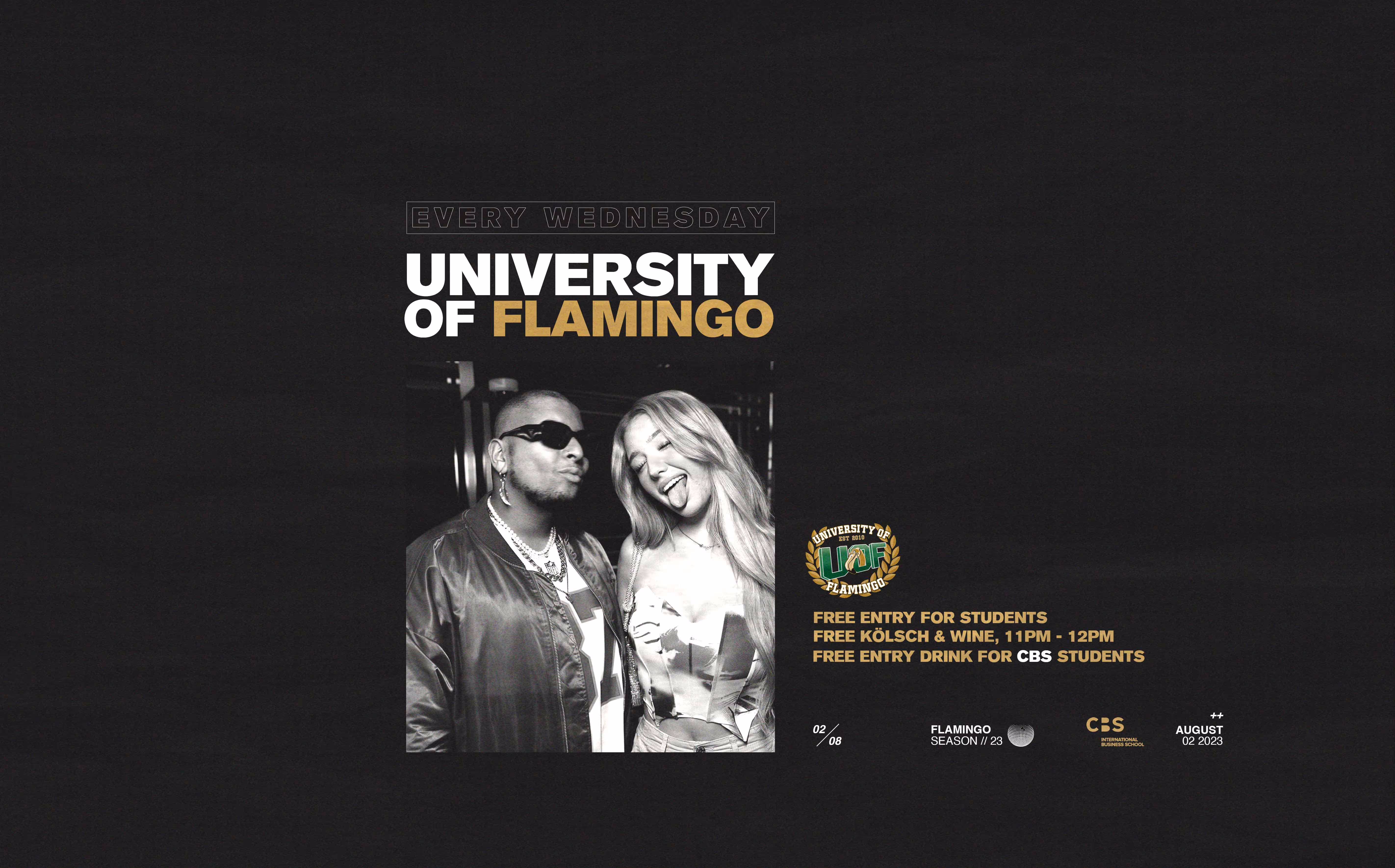 University Of Flamingo