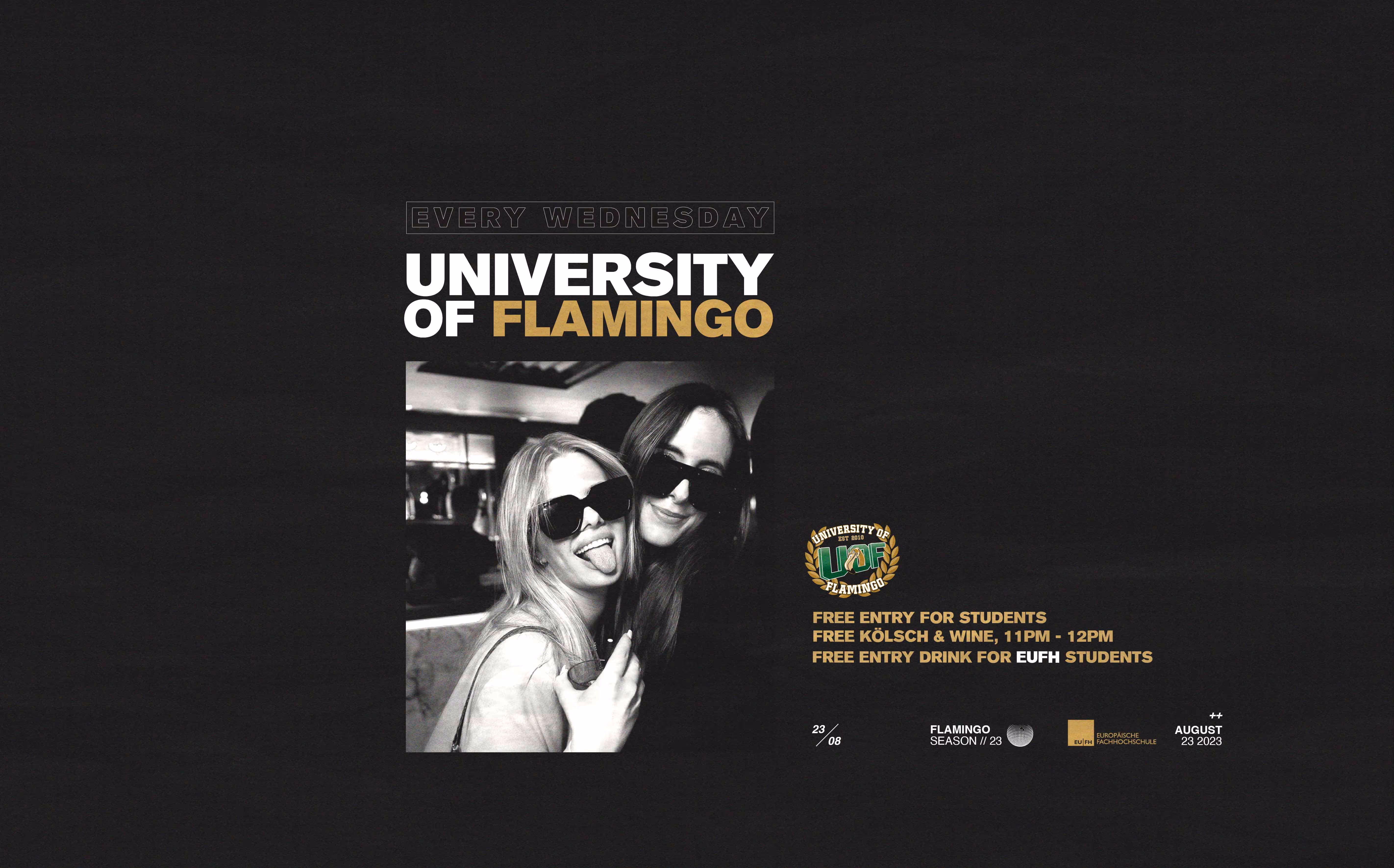 University Of Flamingo