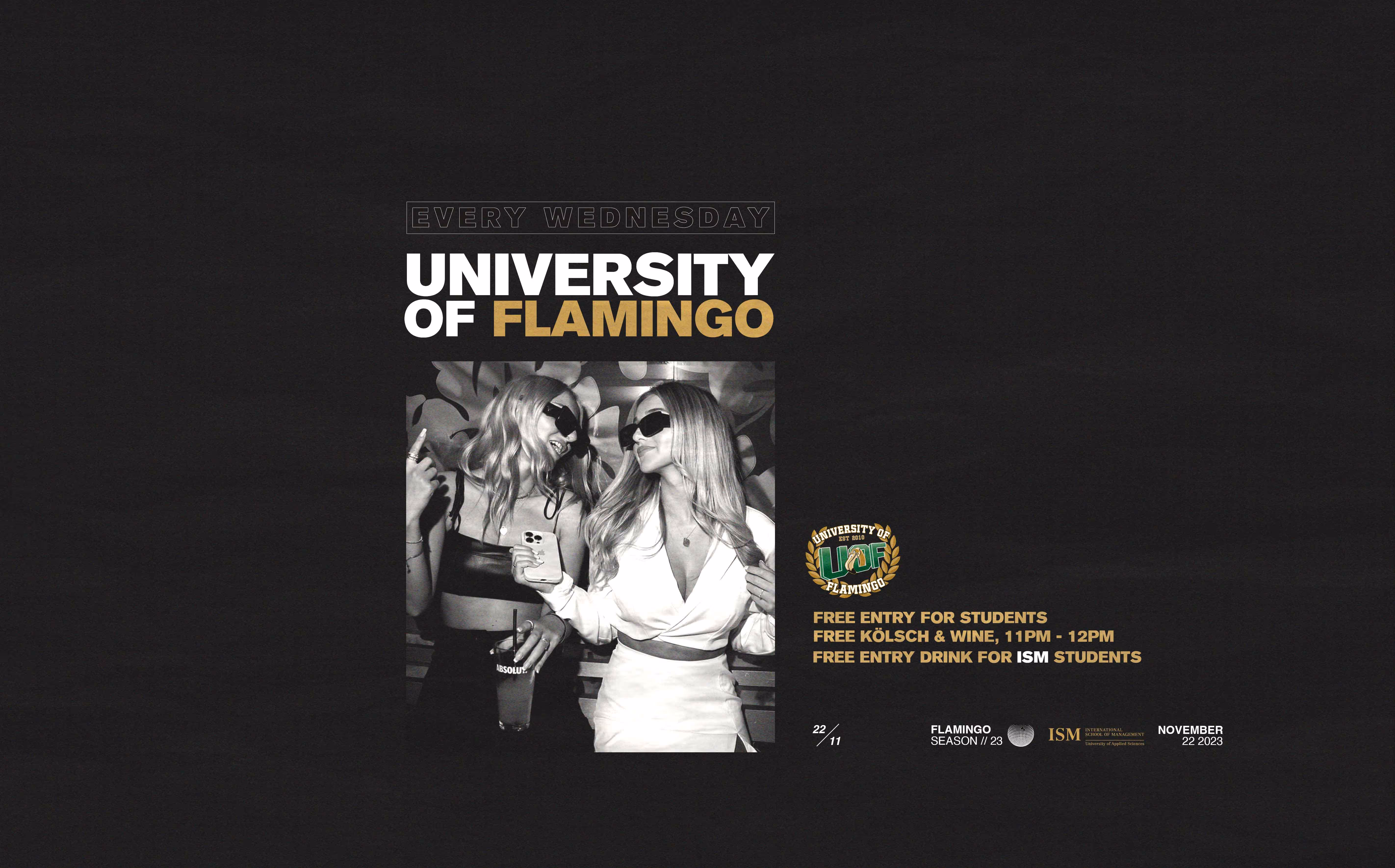 University of Flamingo