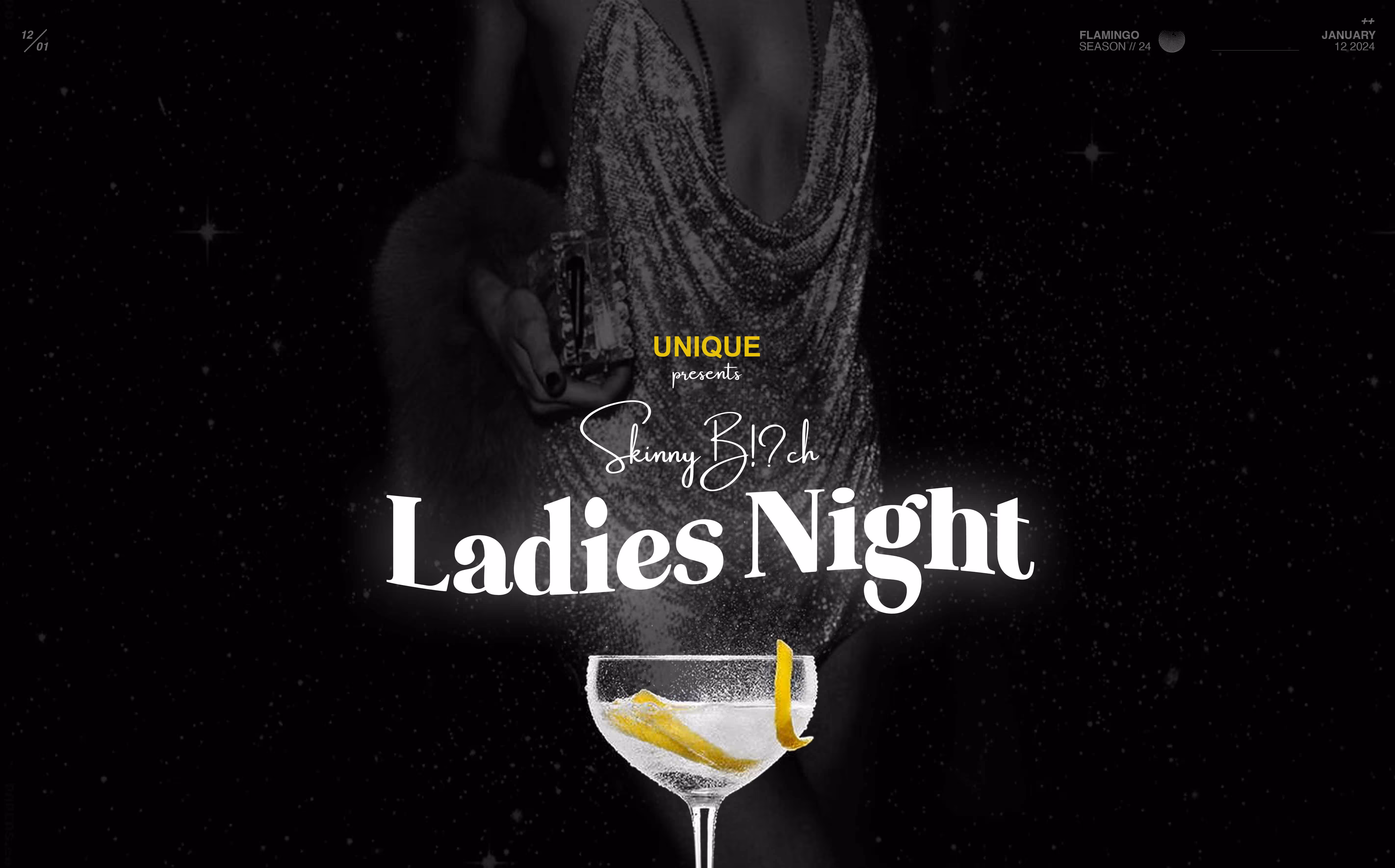 Unique pres. Skinny Bitch - Ladies Night