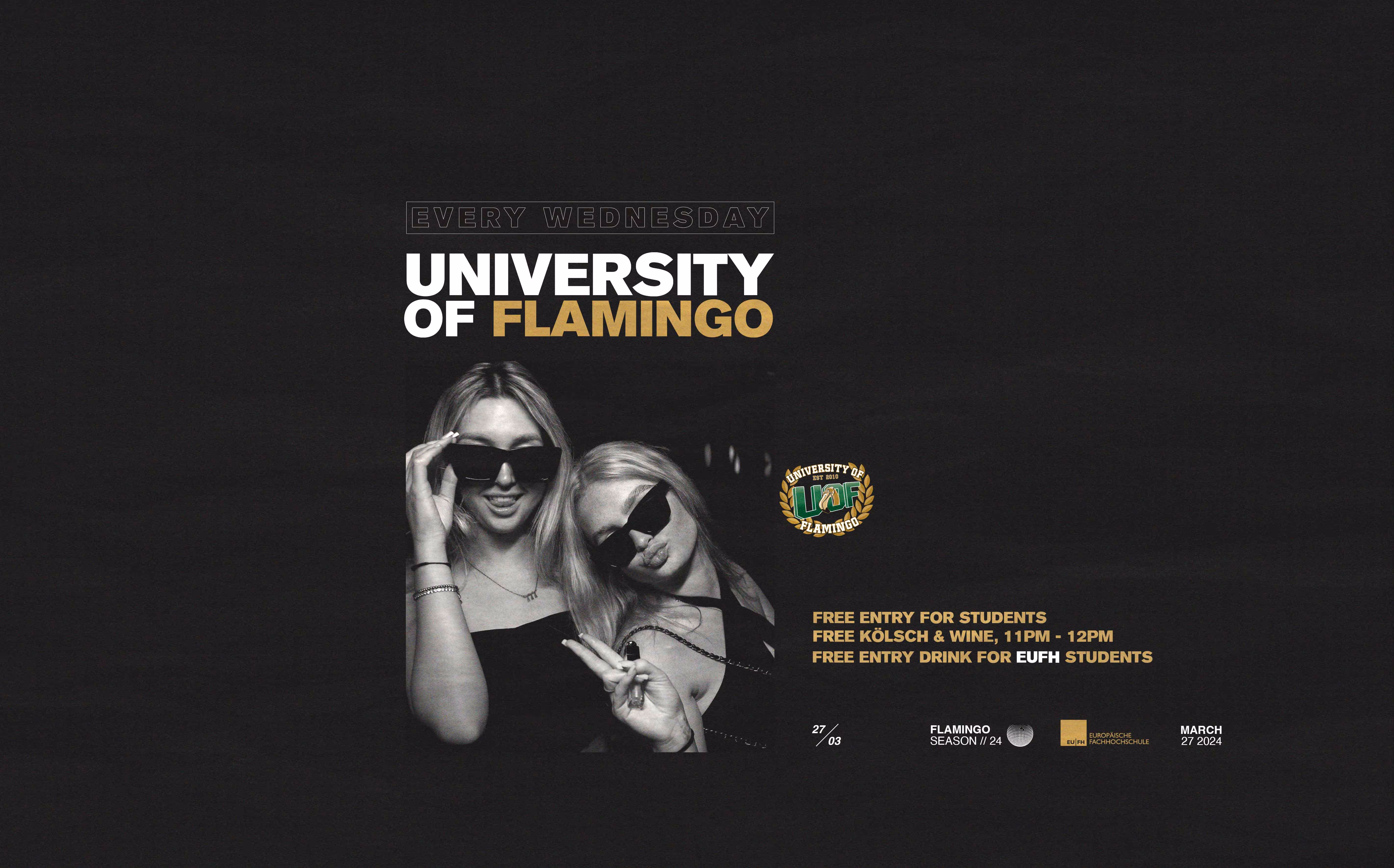 University of Flamingo