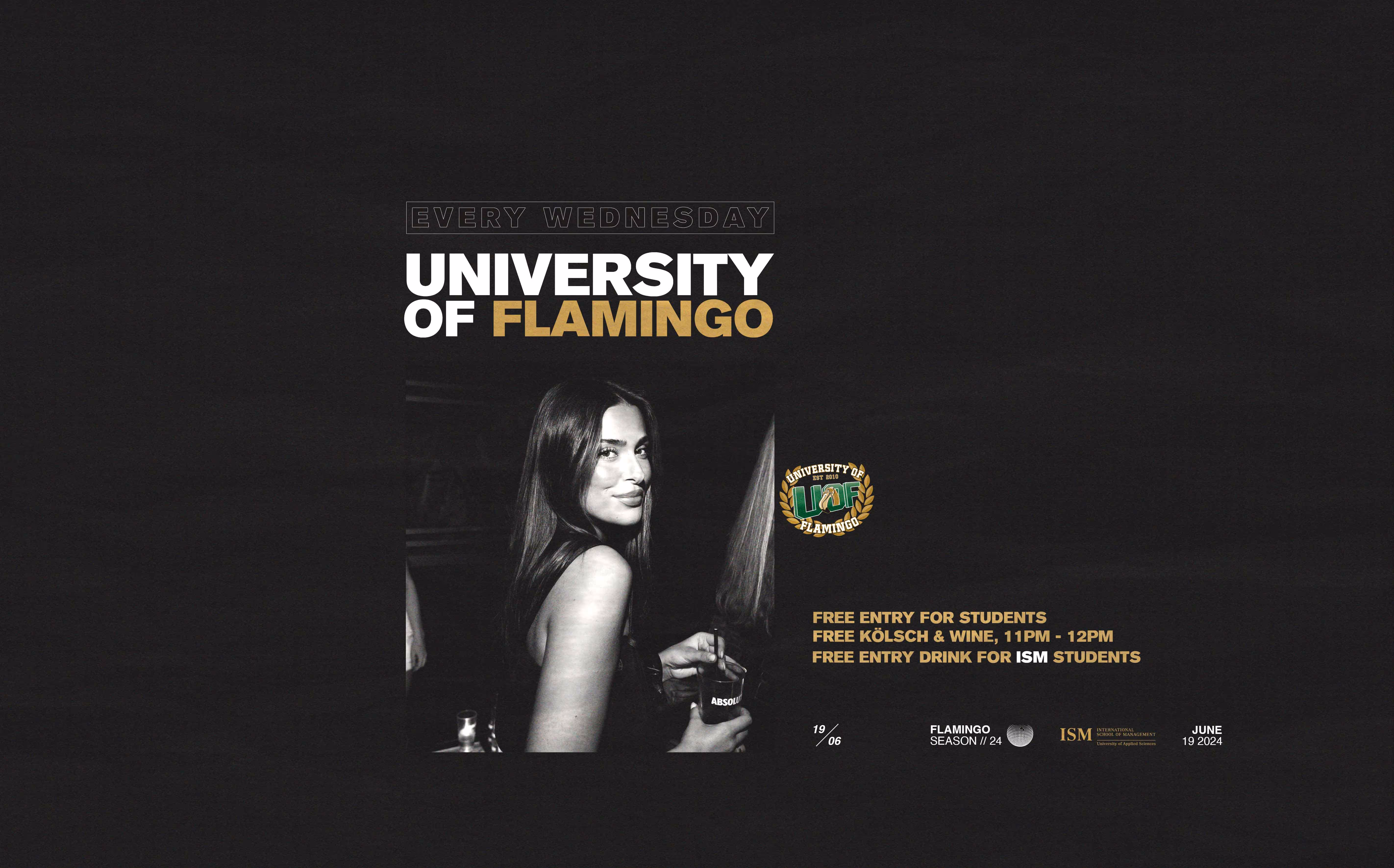 University of Flamingo