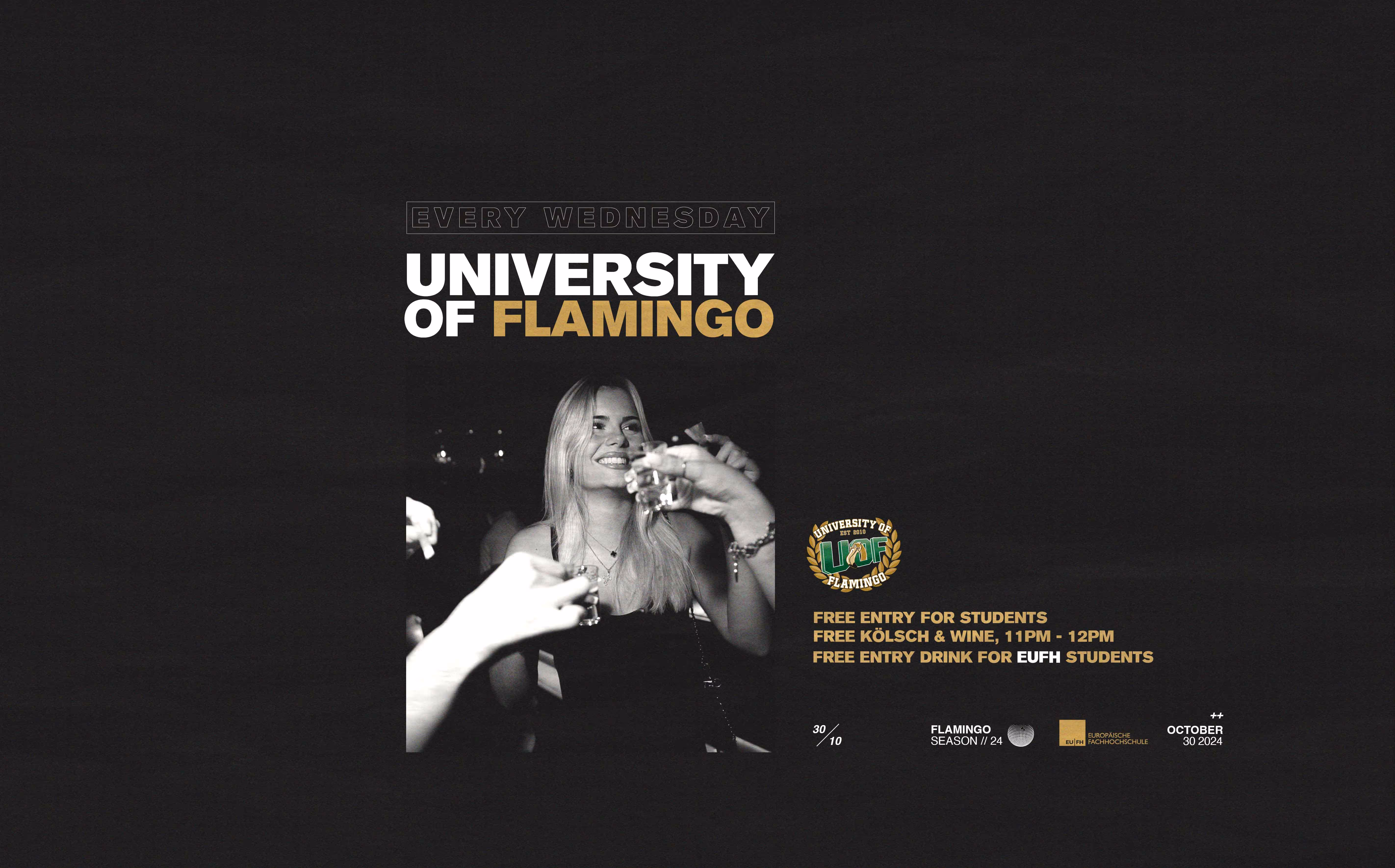 University of Flamingo