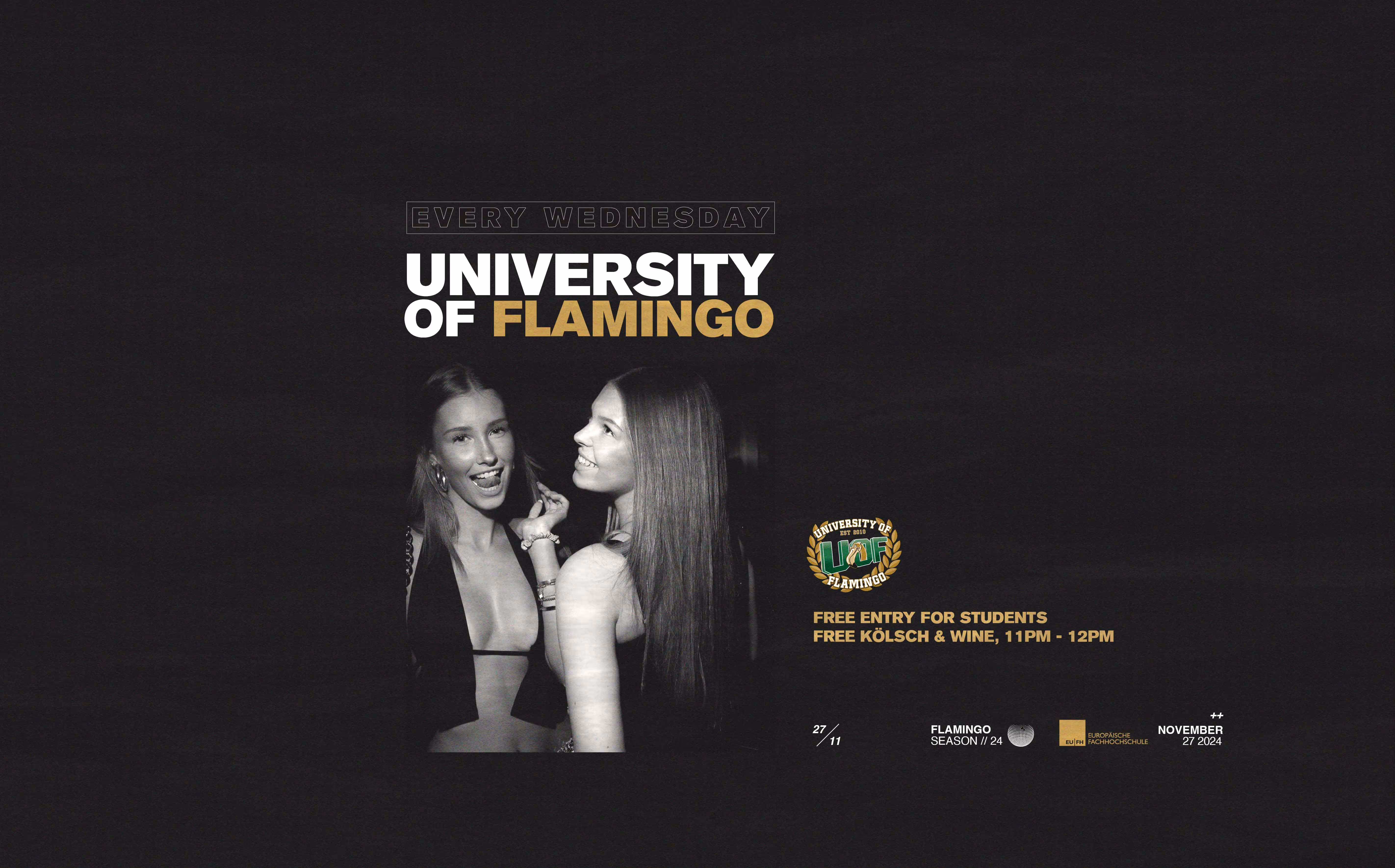 University of Flamingo