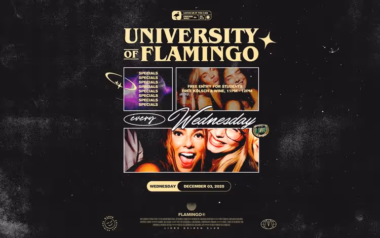 University of Flamingo