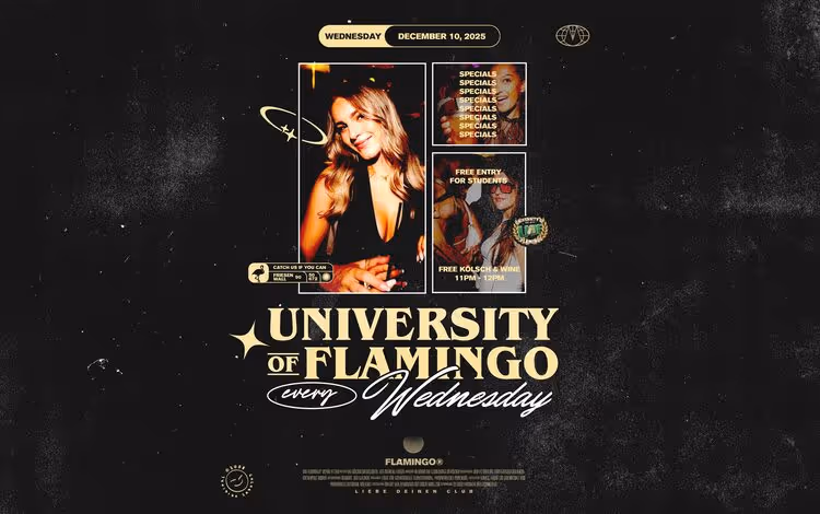 University of Flamingo