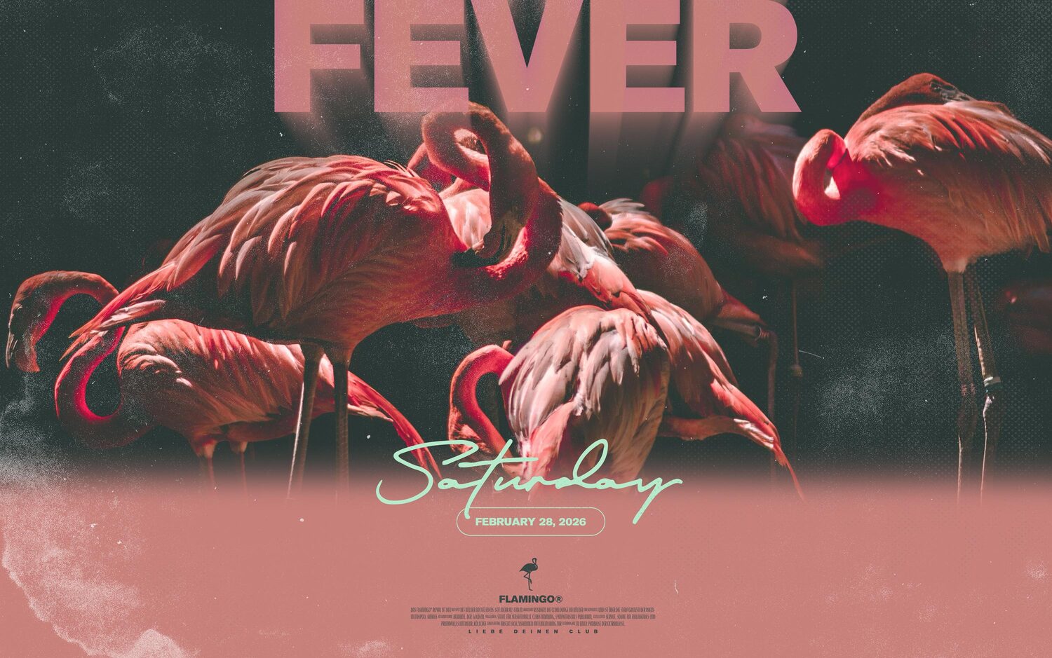 Fever