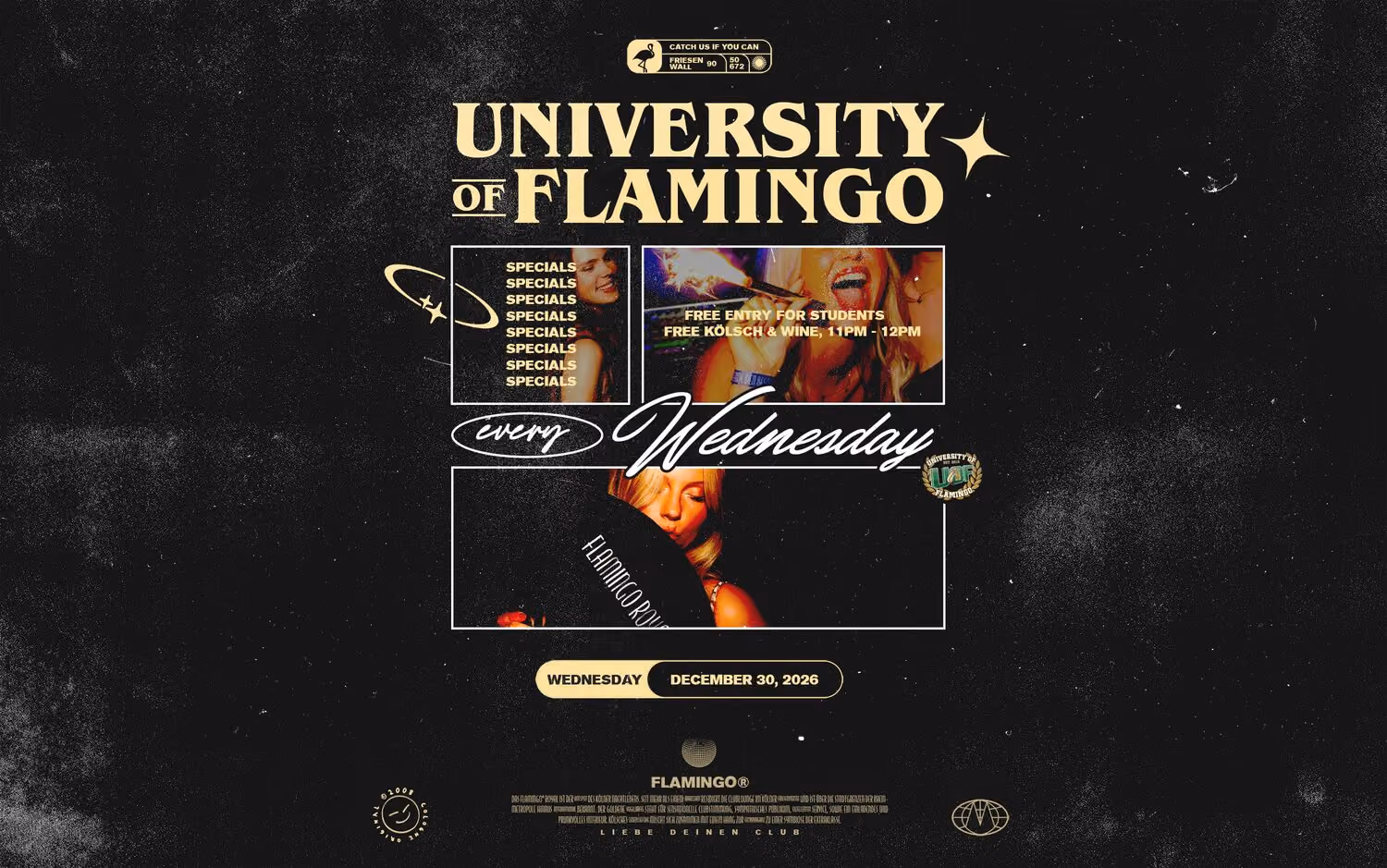 University of Flamingo