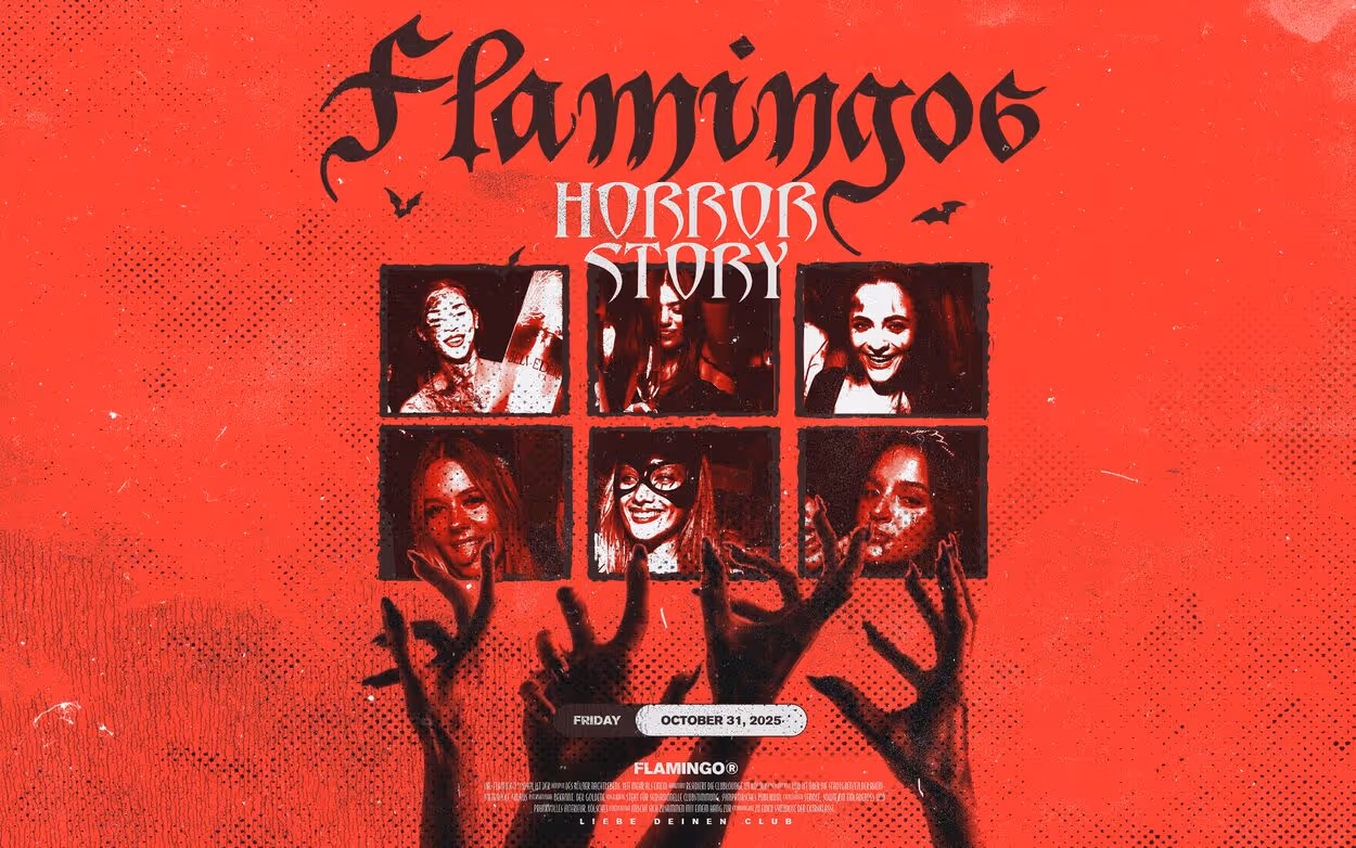 Flamingos Horror Story