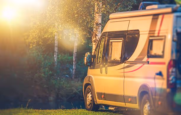 Sunlit camper van parked on grass near trees during golden hour.