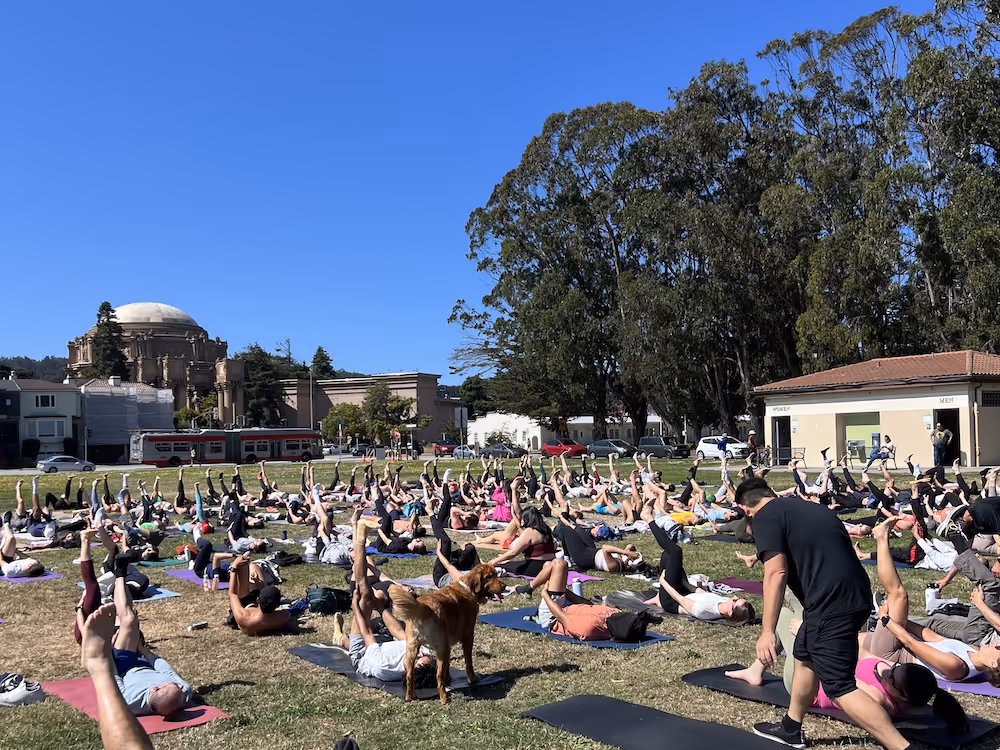 Large outdoor yoga class with dog on grass near historic building