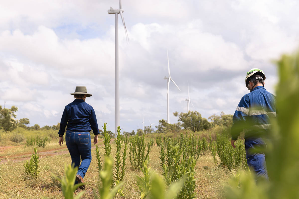 Indicative representation of proposed project area