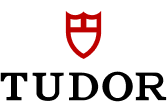 A red medieval shield with a cross and pointed bottom above black text with name Tudor.