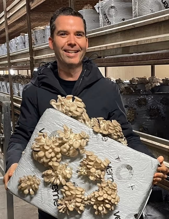 Man die oesterzwammen toont