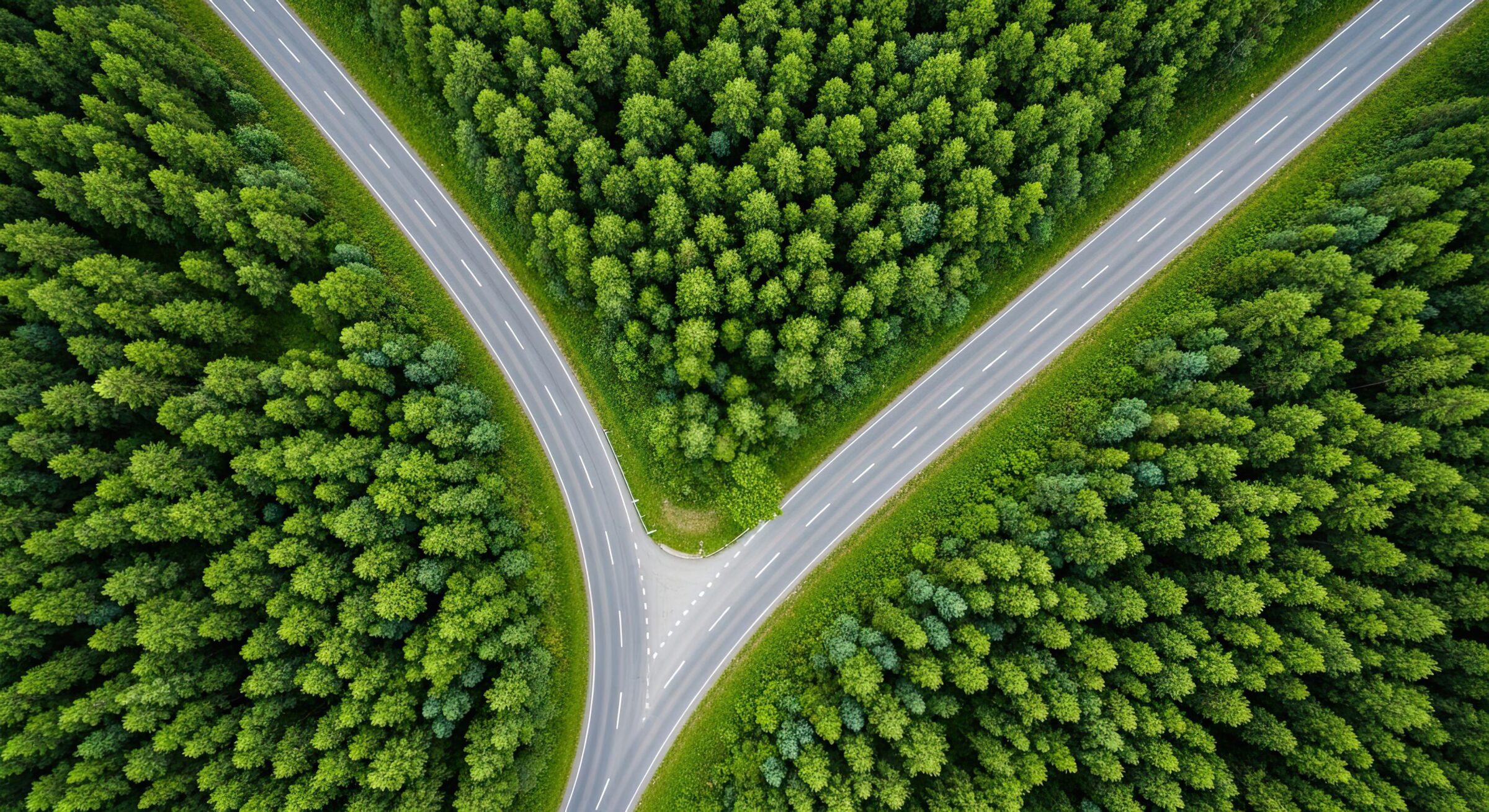 Aerial view of a forked road through forest