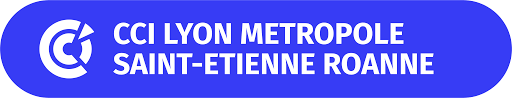 logo CCI Lyon Métropole