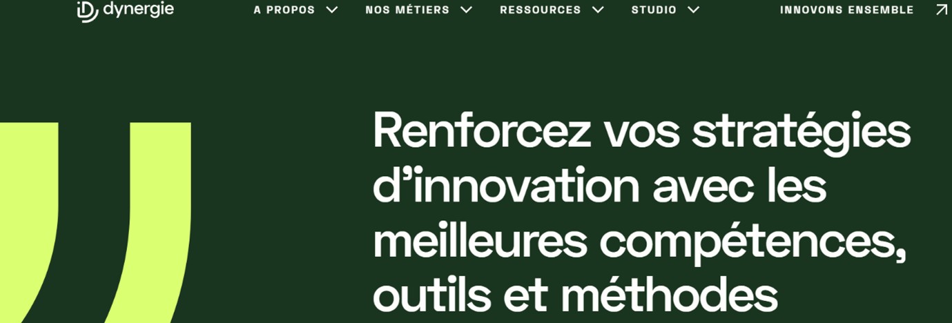 Capture d'écran du site Dynergie