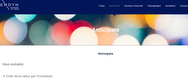 Capture d'écran du site Erdyn