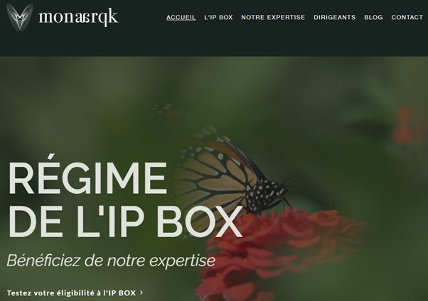 Capture d'écran du site Monarqk