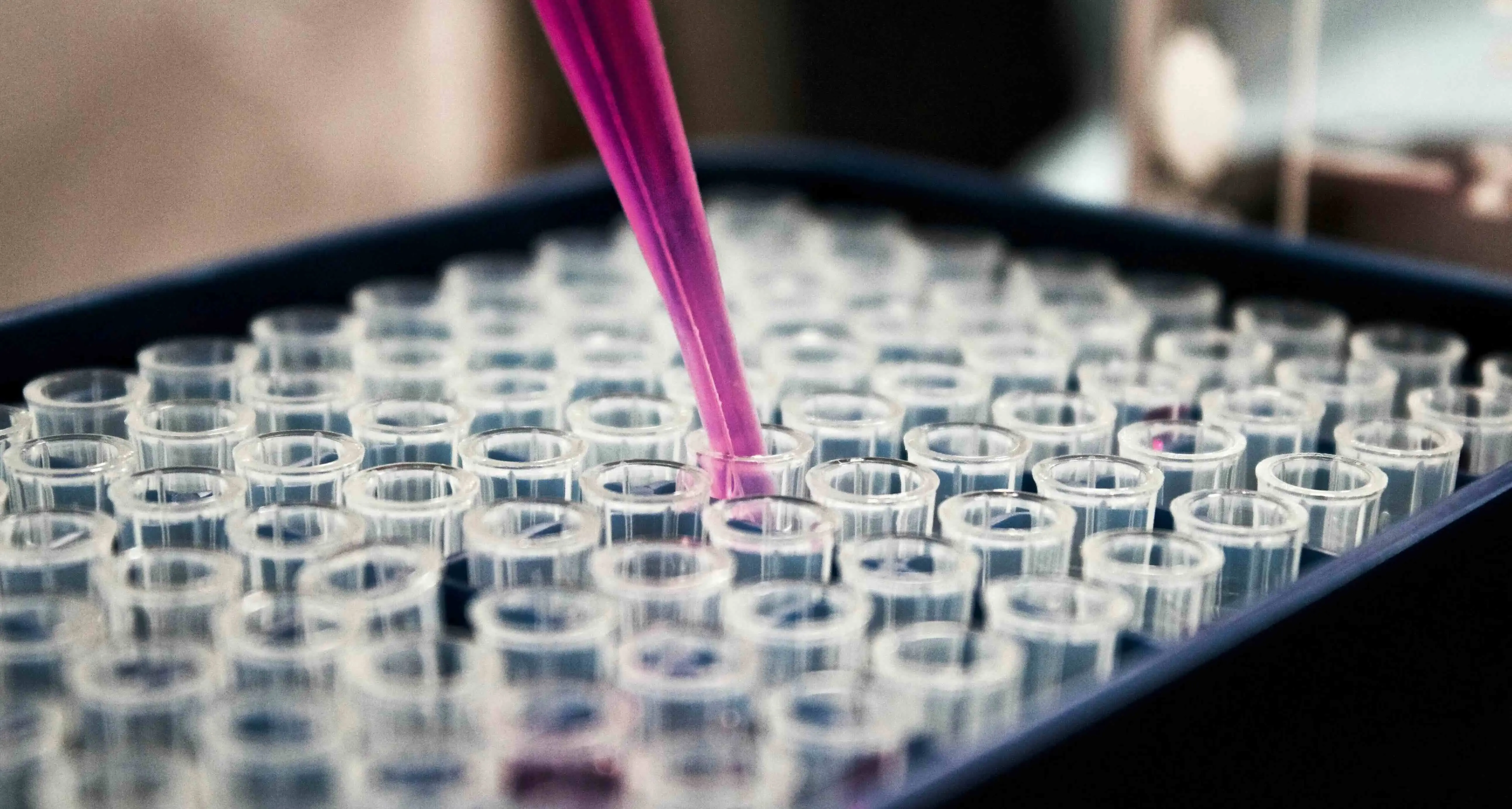 Image d'analyse en laboratoire