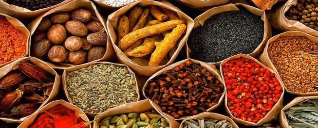 spice tour Zanzibar