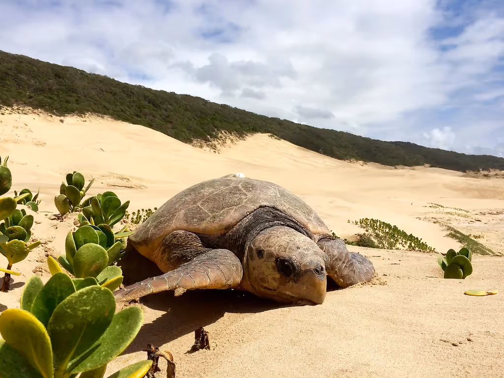 Kosi Bay, KwaZulu-Natal: