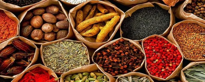 spice tour Zanzibar