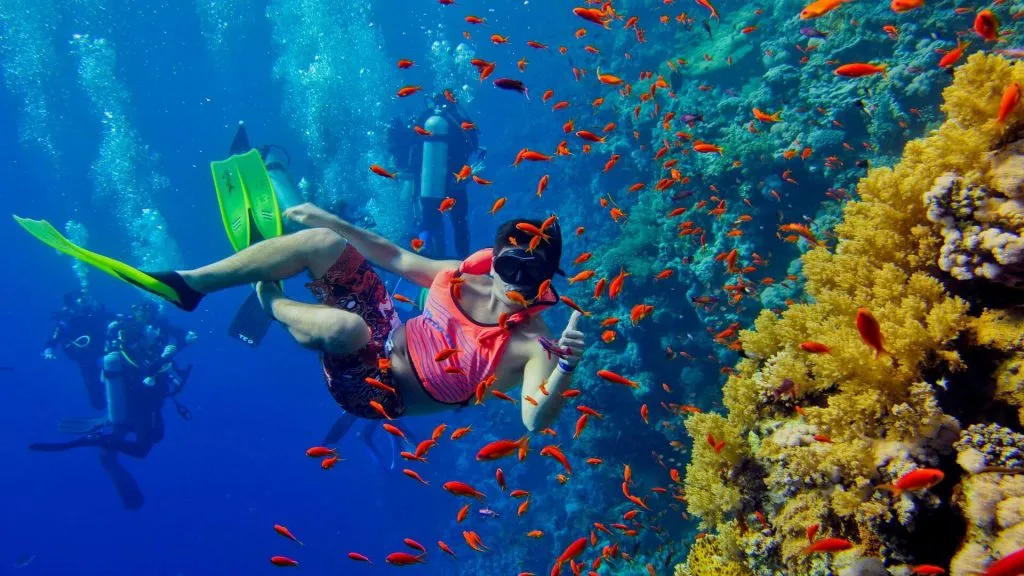 snorkelling in Zanzibar