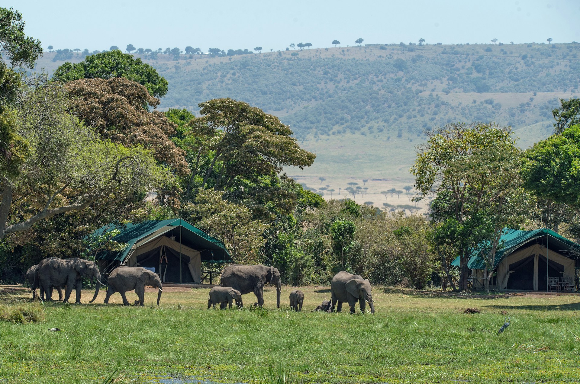 View of a safari camping