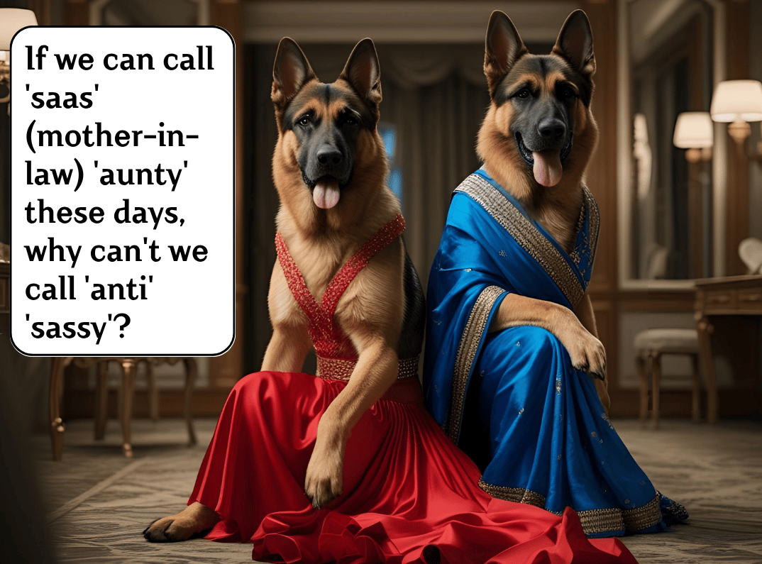 Two German Shepherds in elegant traditional Indian attire sitting regally in an ornate room with the text asking if 'saas' can be called 'aunty', then can 'anti' be called 'sassy'