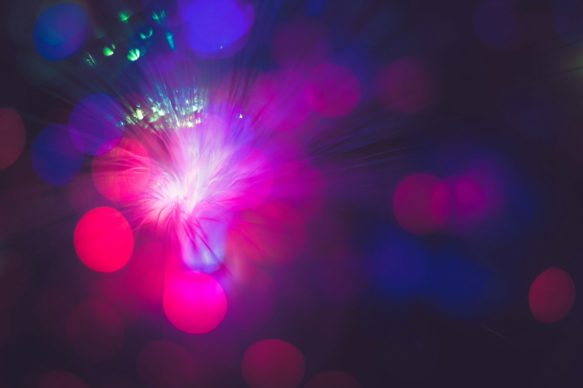 Mental Models vs. Intuition: When to Trust Your Gut and When to Think Again