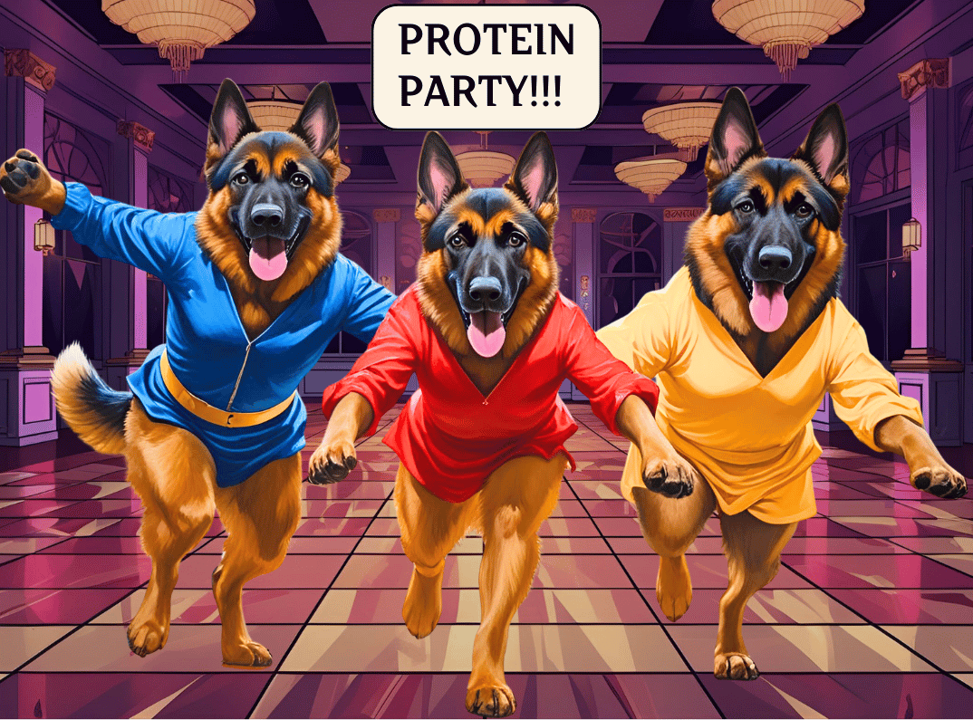 Three German Shepherds in colorful tracksuits dancing under chandeliers at a protein-themed party