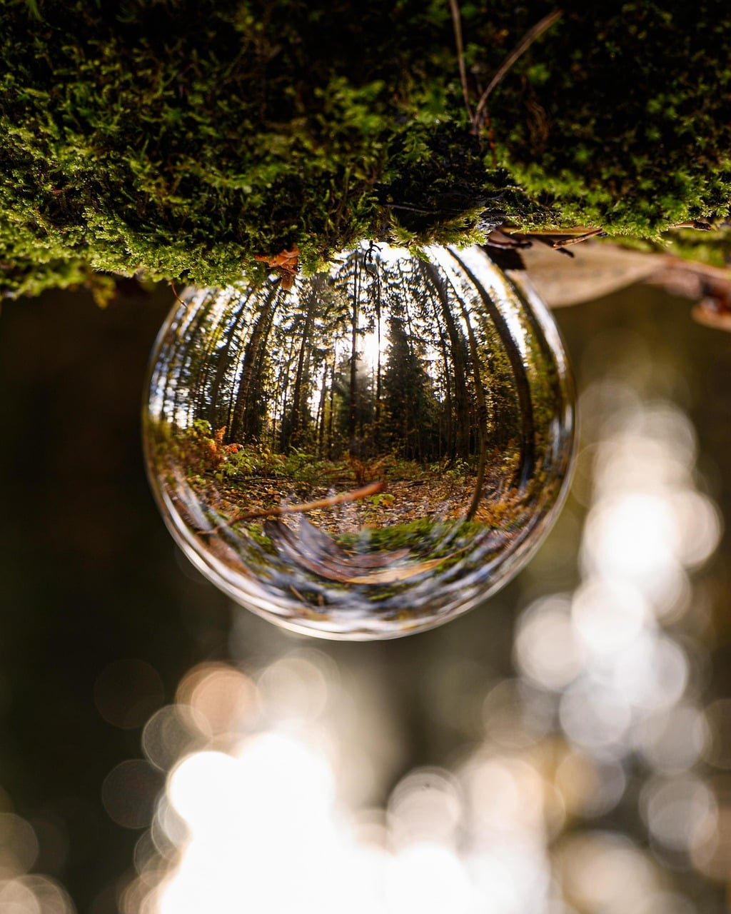 Using Inversion: The Thinking Tool That Solves Complex Problems