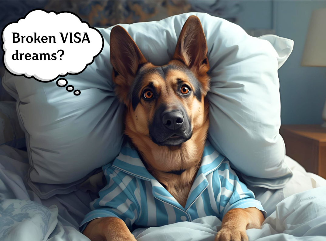 A german shepherd in bed with eyes wide open in worry. text - broken visa dreams 