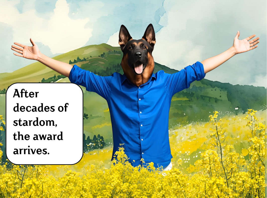 A german shepherd Daisy Mausi wearing blue shirt standing in a mustard field with arms spread in ShahrukhKhan Iconic style