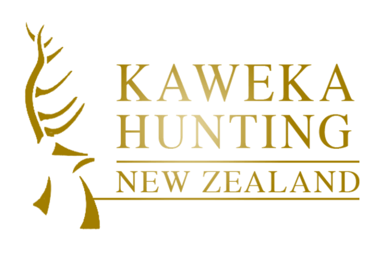 Kaweka Hunting